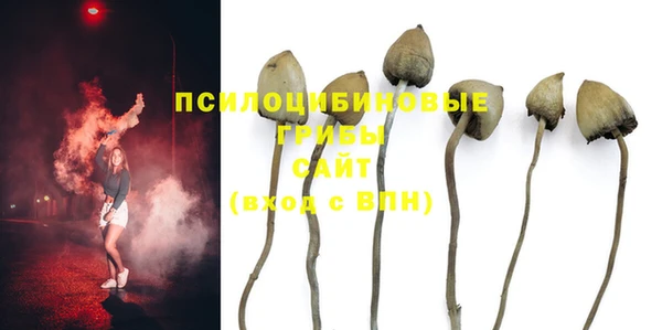 таблы Верхний Тагил