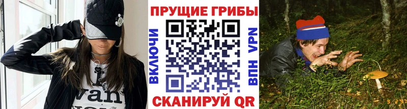 кракен ТОР закладки Вологда Галлюциногенные грибы ЛСД
